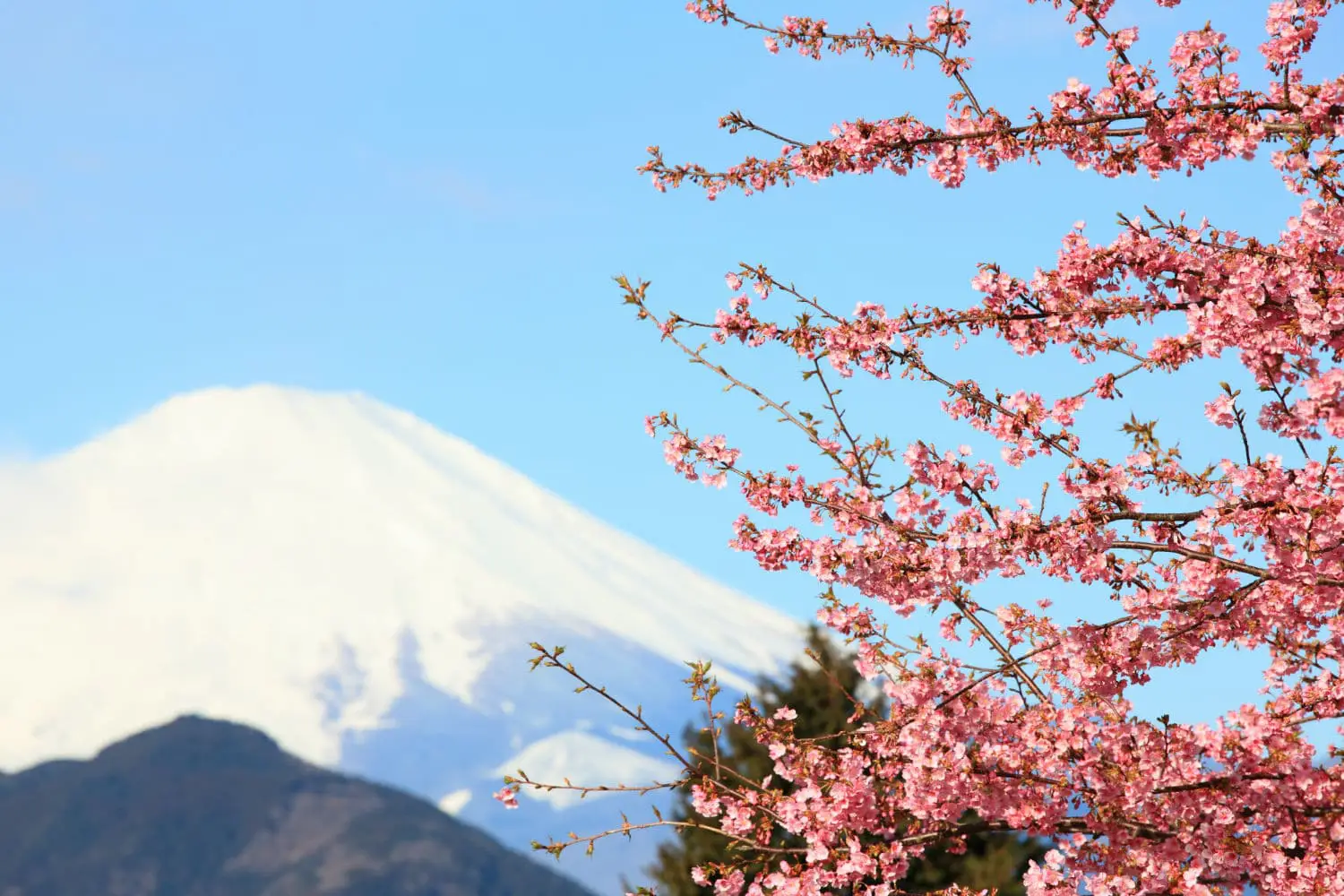 Notre agence vous prépare un voyage sur mesure au Japon !