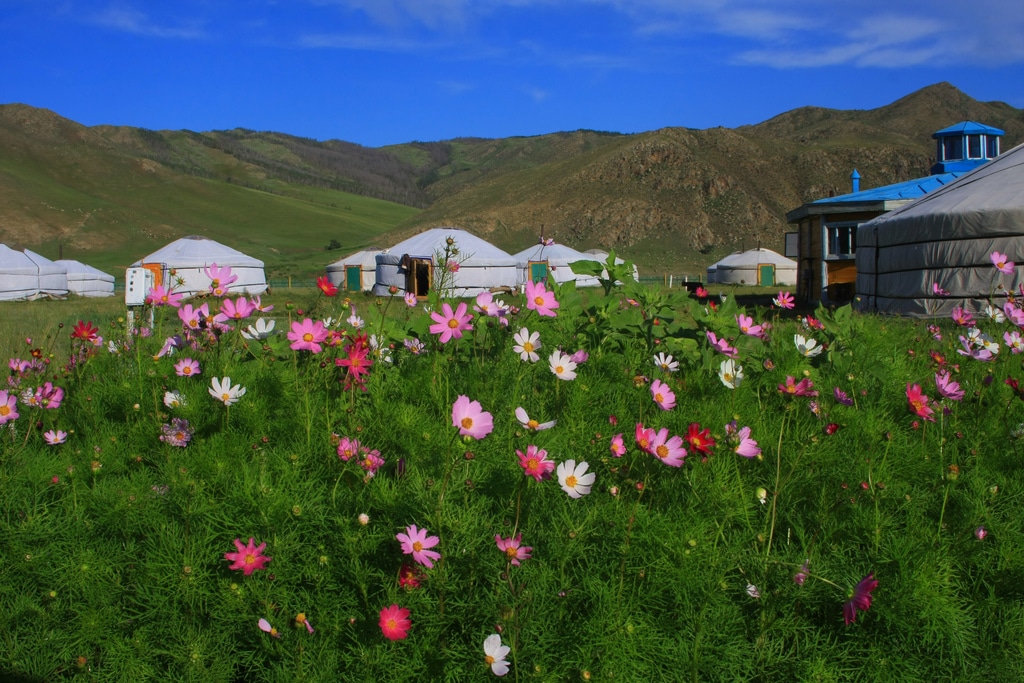 Lire la suite à propos de l’article Voyage magique au cœur de la Mongolie !