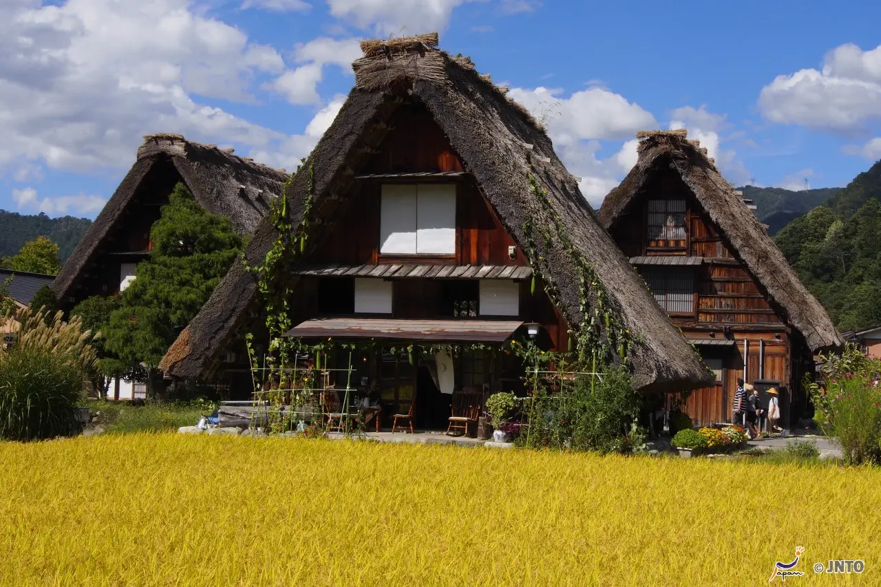 Quel circuit faire au Japon ?