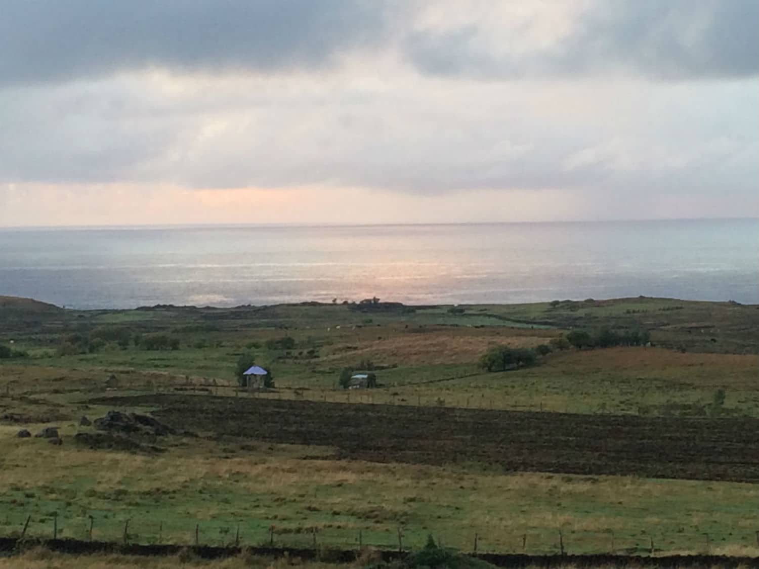 Lire la suite à propos de l’article Les saveurs de l’Explora Rapa Nui…
