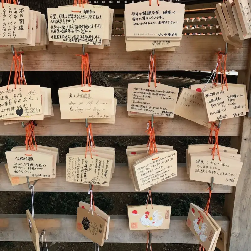 Mon Plus Beau Voyage au Japon.