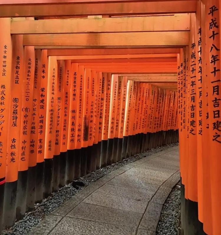 Torii de Kyoto.