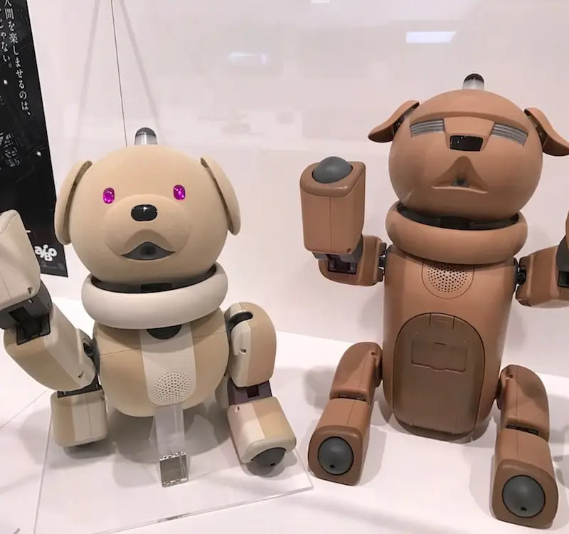 Hello Sony Dogs au Japon.