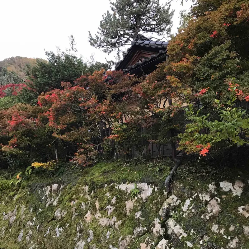 Automne au Japon.