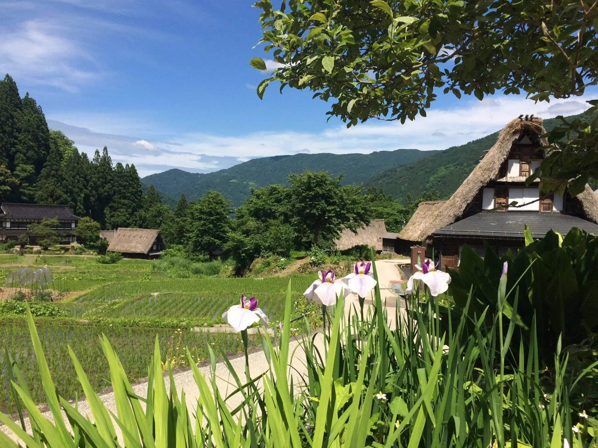 Que faire dans les Alpes japonaises ?