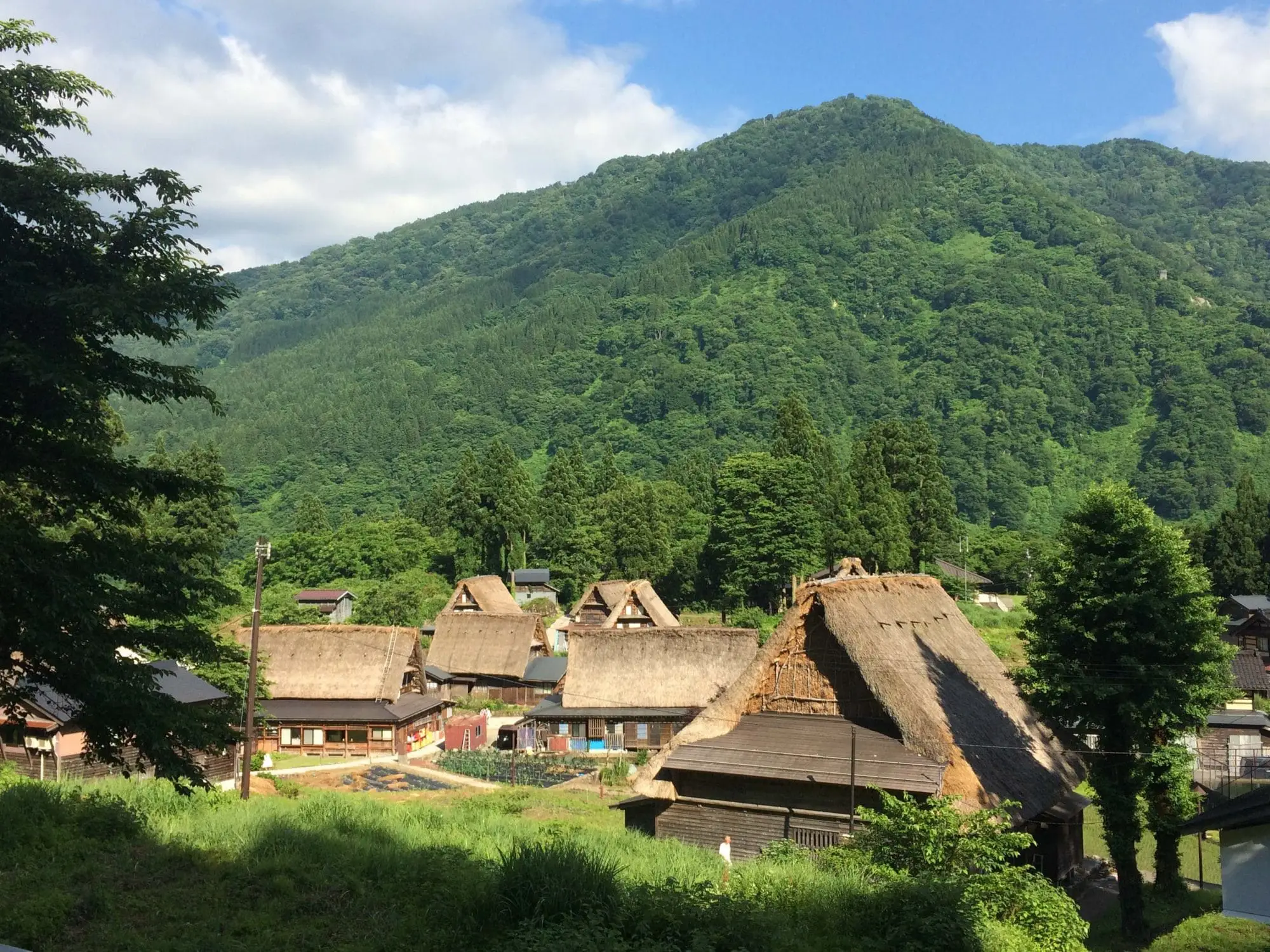 Vue sur les toits de Gokayama au Japon.