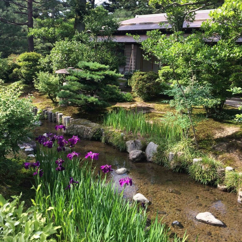 Jardin Kenrokuen Kanazawa au Japon.