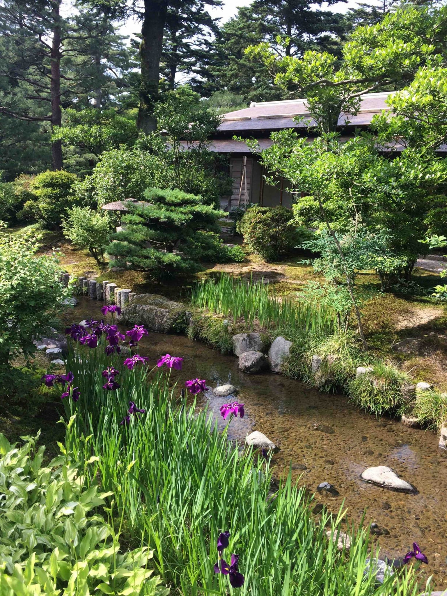 Jardin Kenrokuen Kanazawa au Japon.