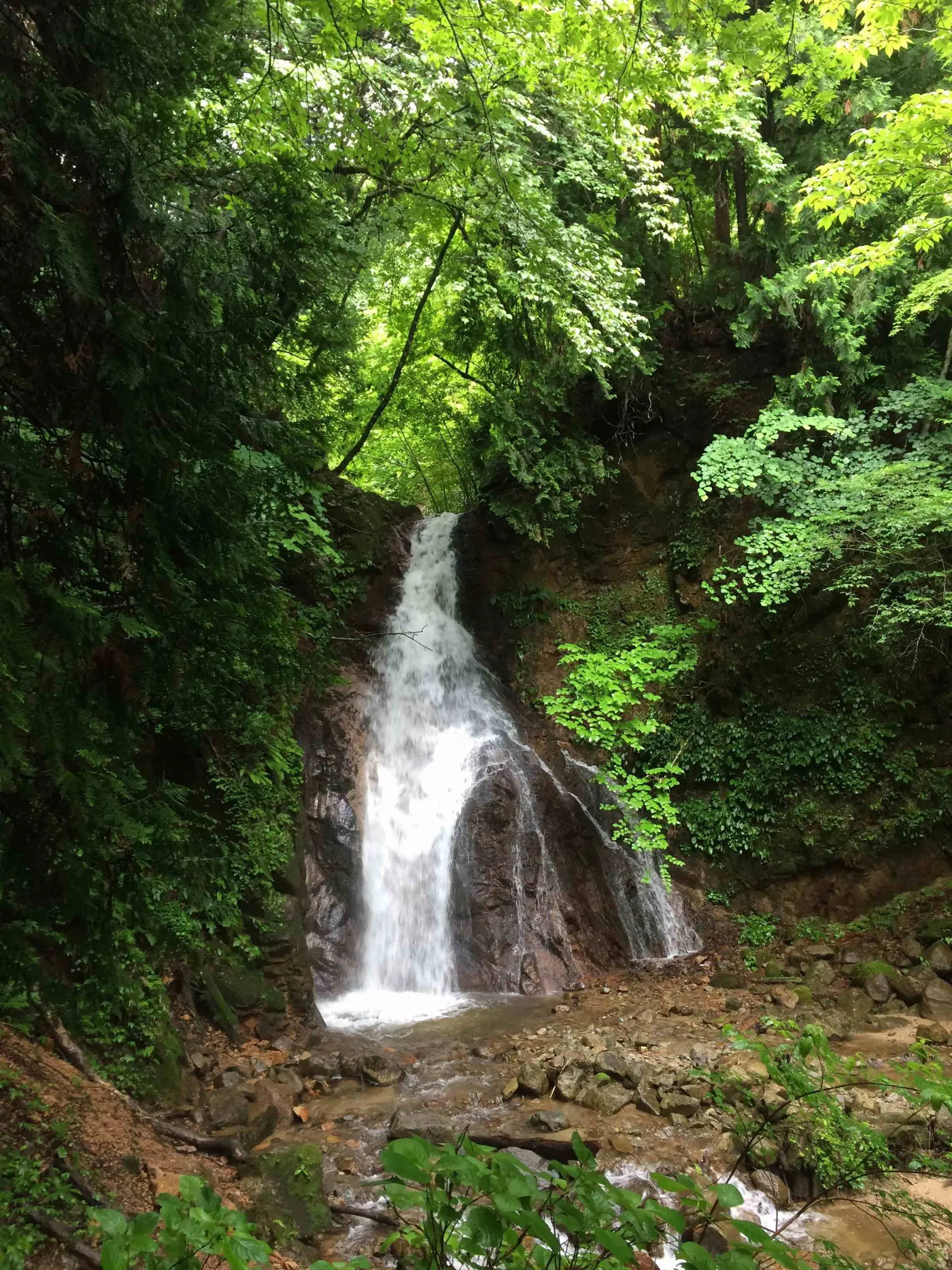 Cascade dans la vallée de Kiso au Japon.
