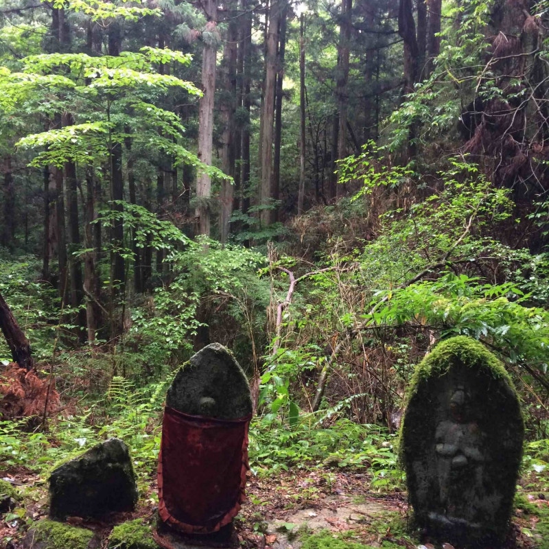 Esprits de la forêt au Japon.