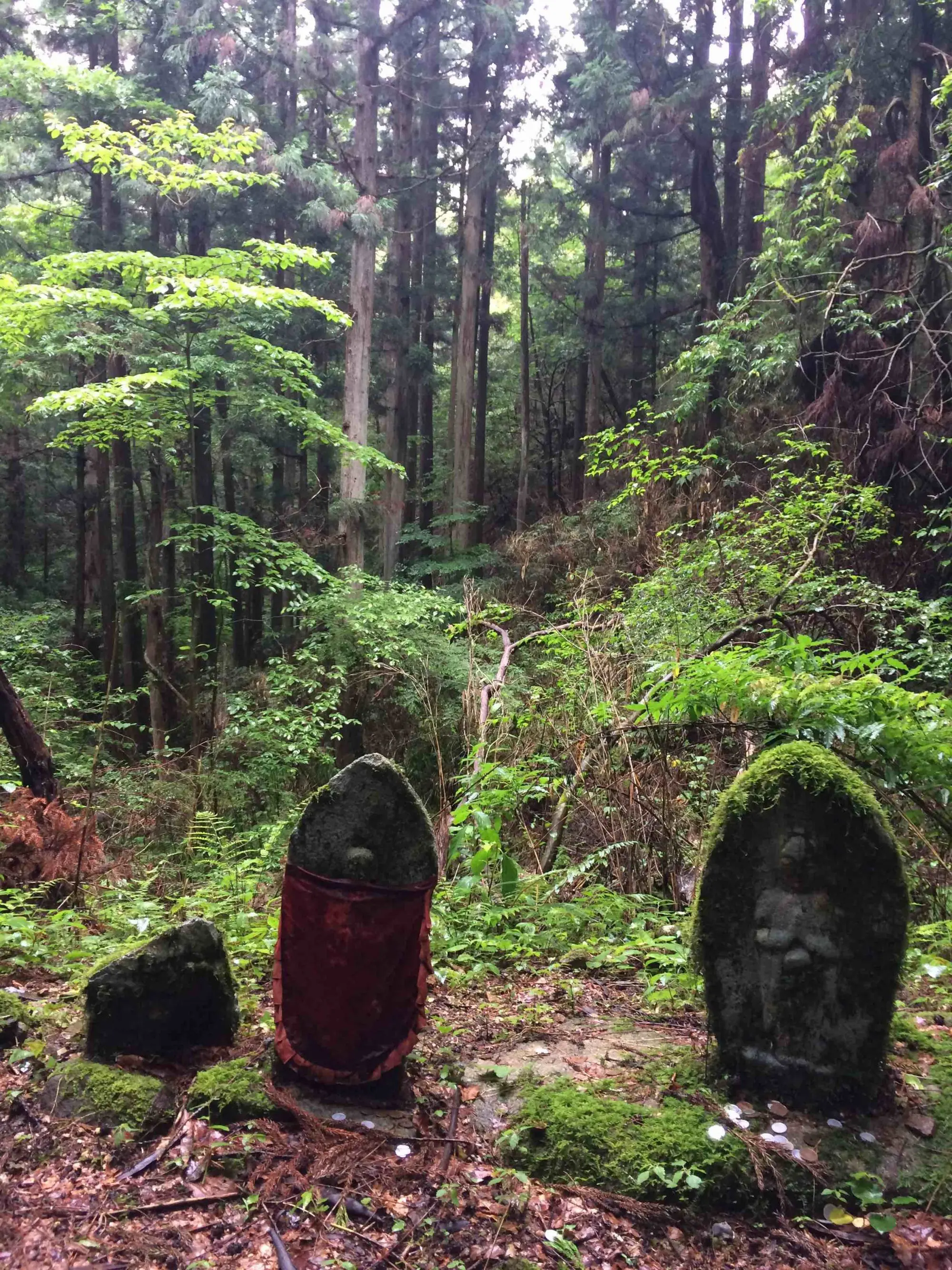 Esprits de la forêt au Japon.