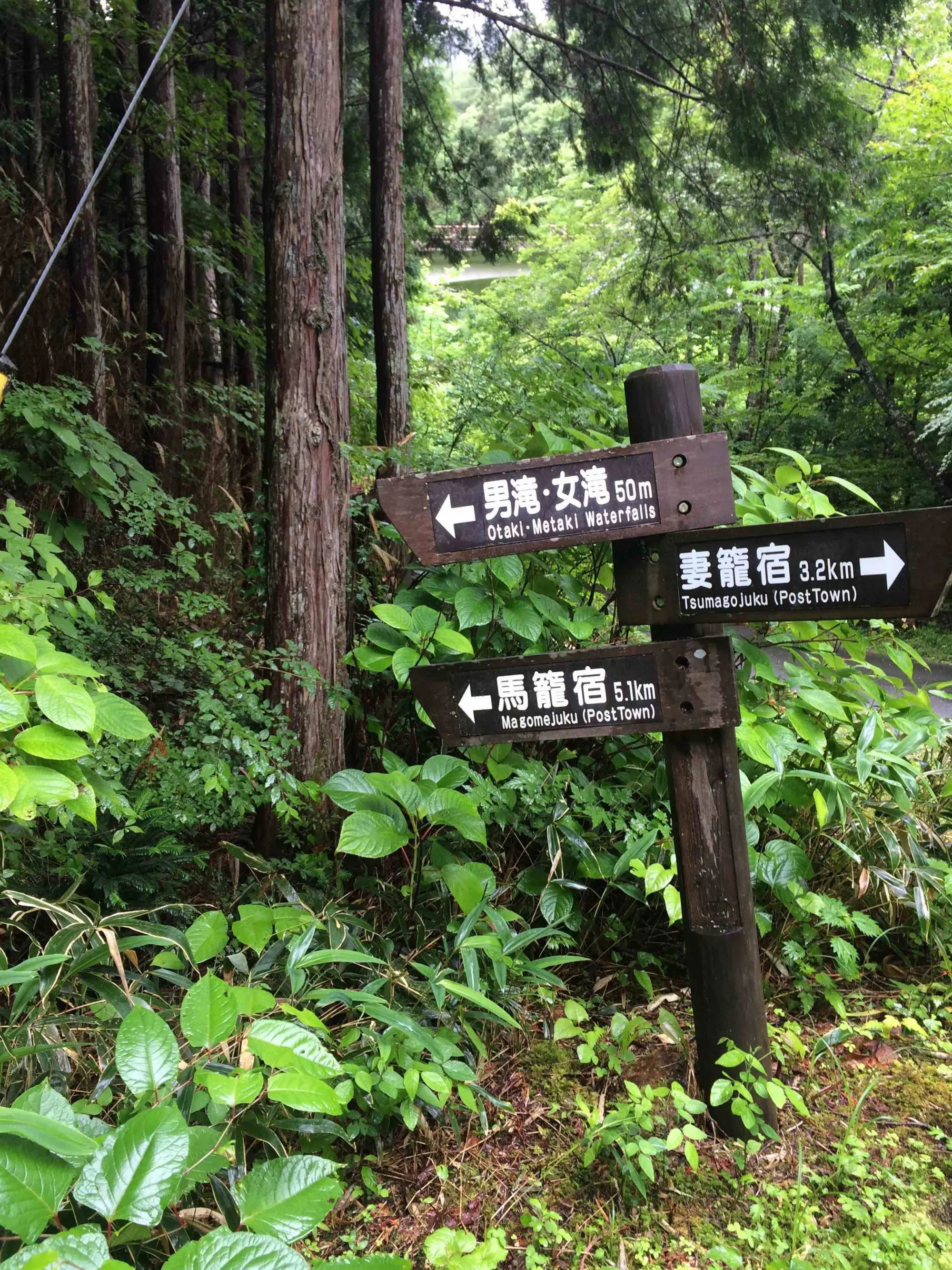 Randonnée dans la vallée du Kiso au Japon.