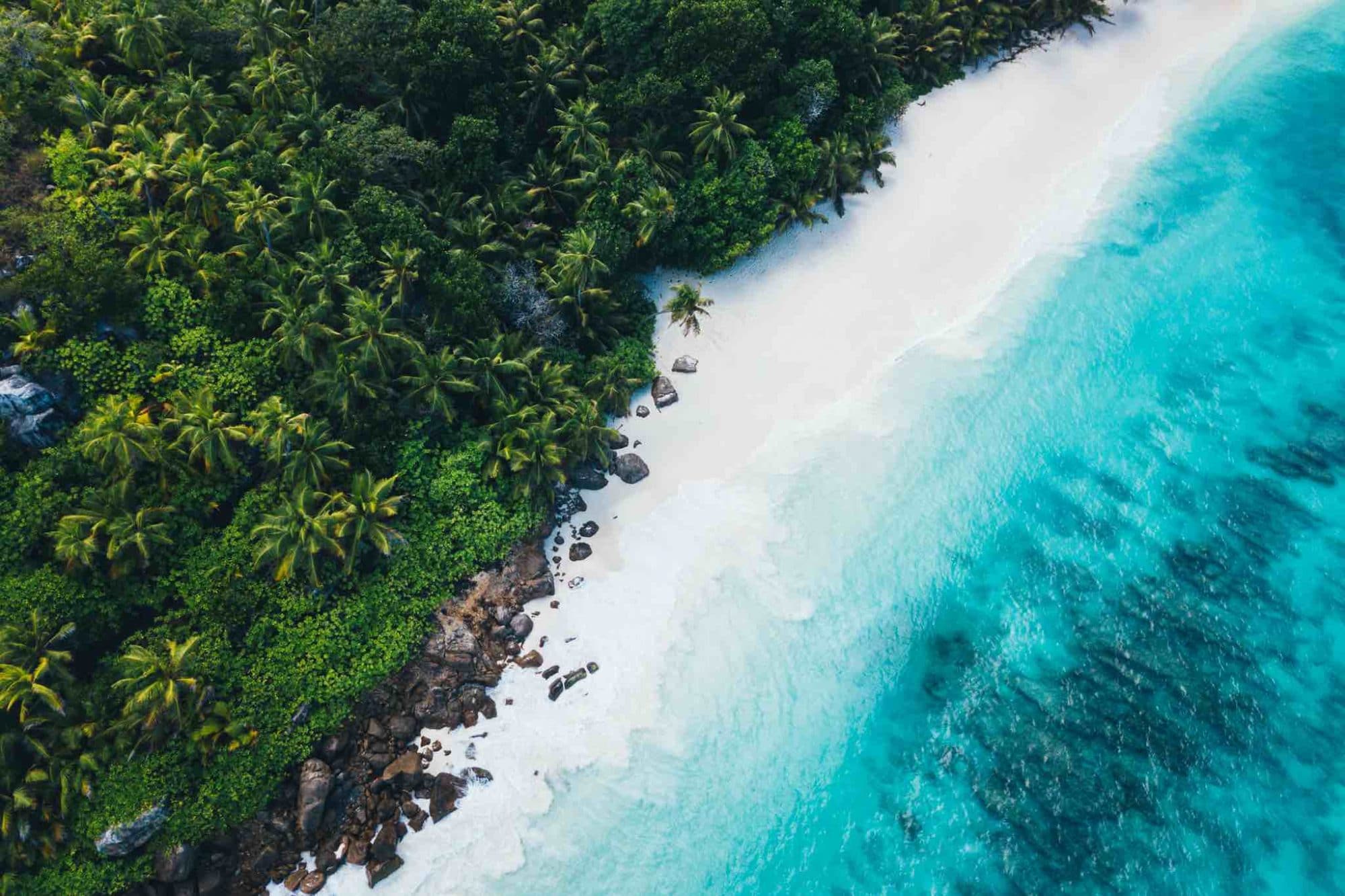Lire la suite à propos de l’article Beauté des Seychelles à North Island…